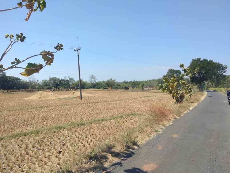 dijual tanah strategis pinggir jalan desa