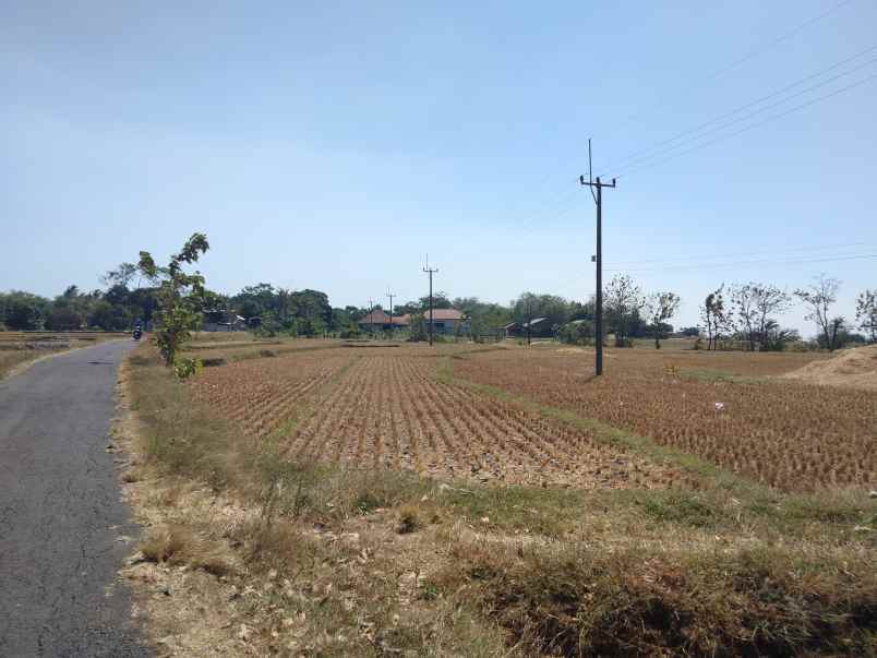 dijual tanah strategis pinggir jalan desa