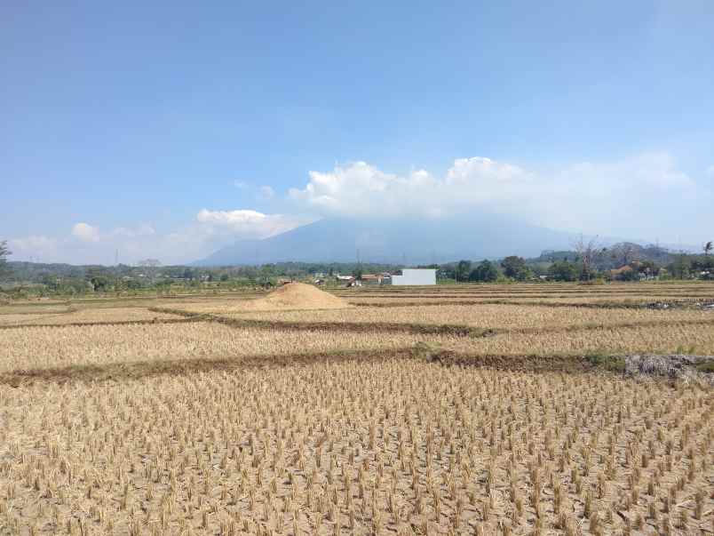 dijual tanah strategis pinggir jalan desa