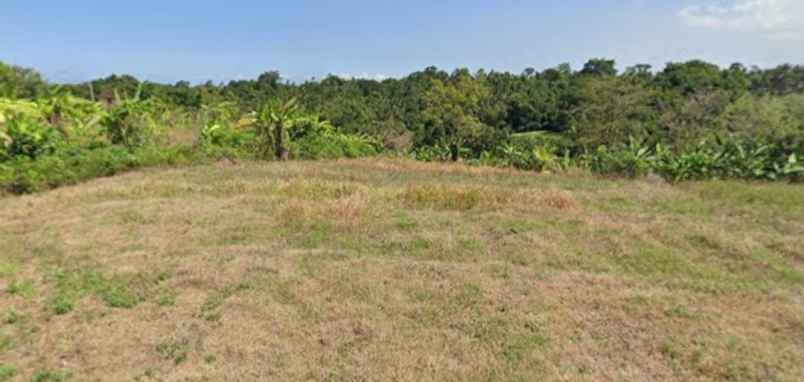 dijual tanah tegal mengkeb tabanan bali