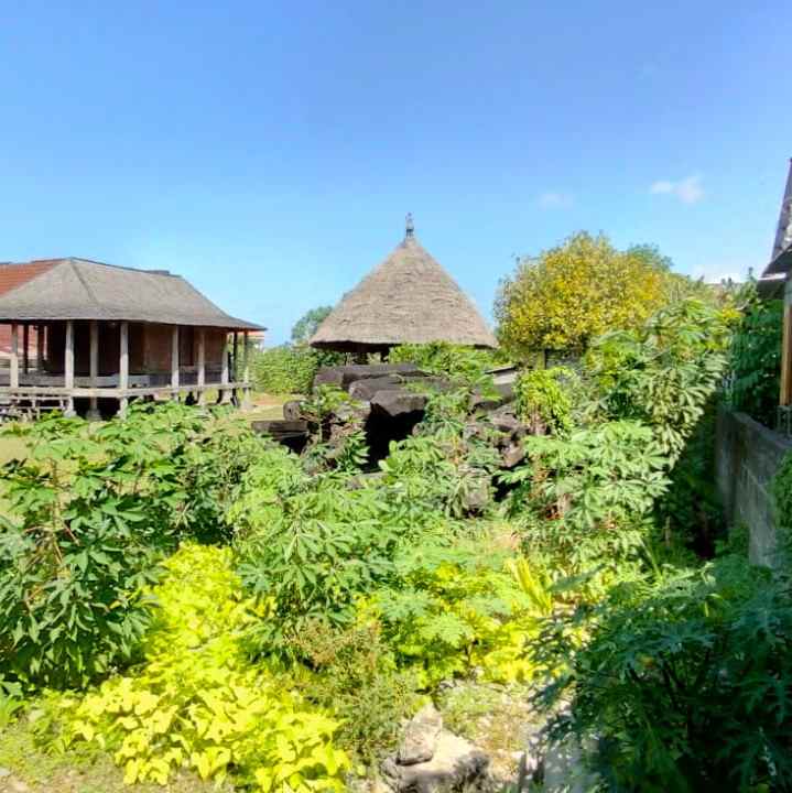 dijual tanah teuku umar barat