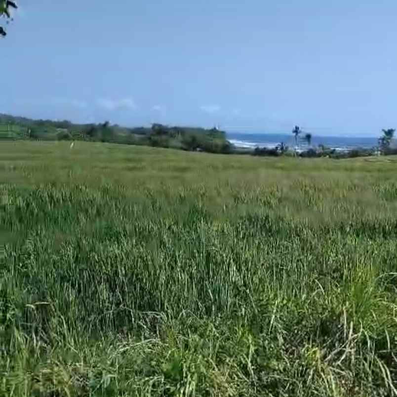 dijual tanah tibubiu