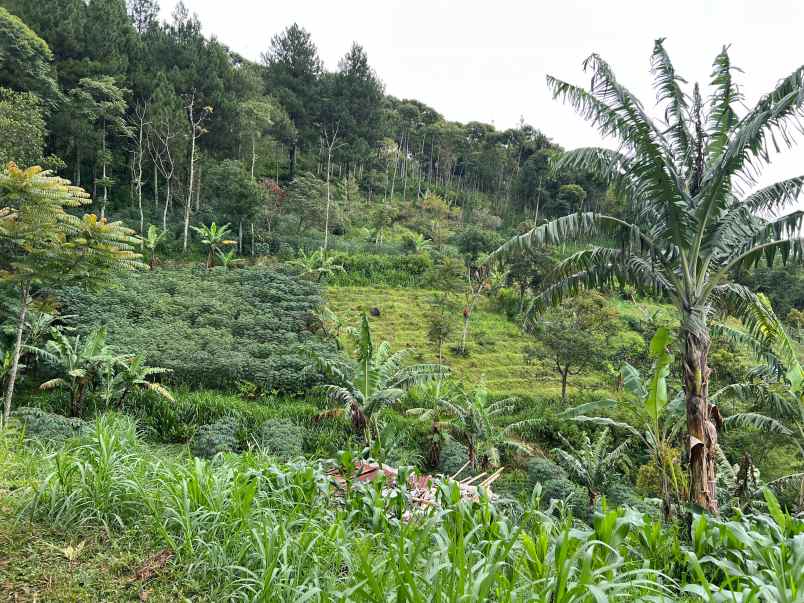 dijual tanah utara candi cetho karanganyar