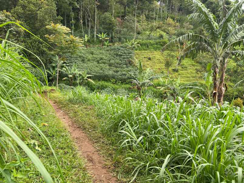 dijual tanah utara candi cetho karanganyar