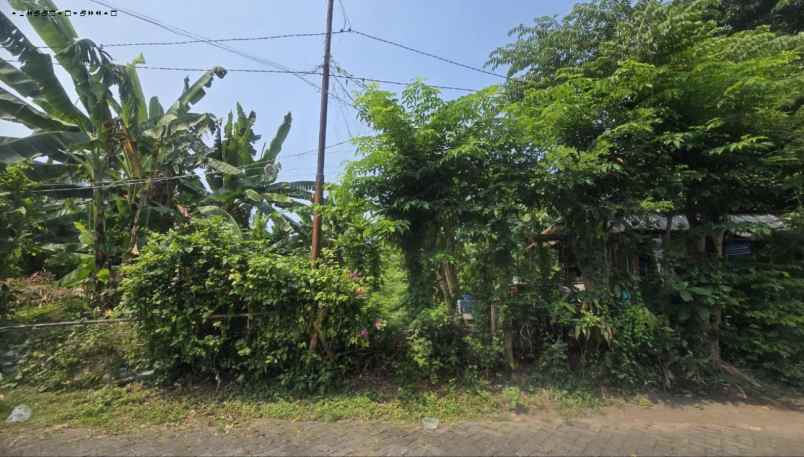 dijual tanah wonocolo