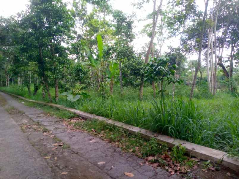 dijual tegalan sidorejo kemalang