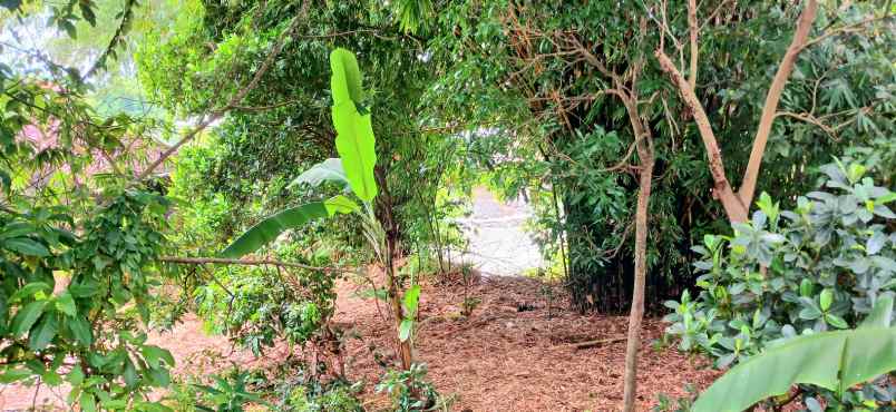 disewakan tanah jalan sekar sari denpasar bali