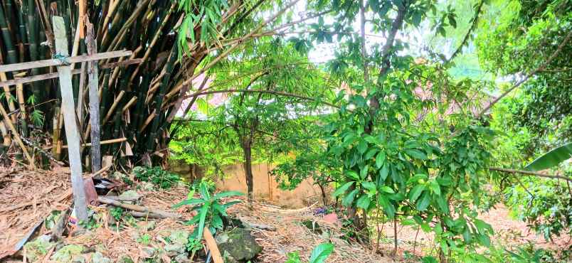 disewakan tanah jalan sekar sari denpasar bali