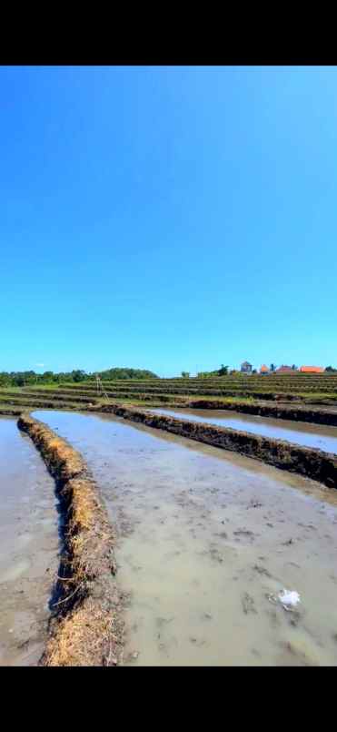 disewakan tanah tibu biu tabanan bali