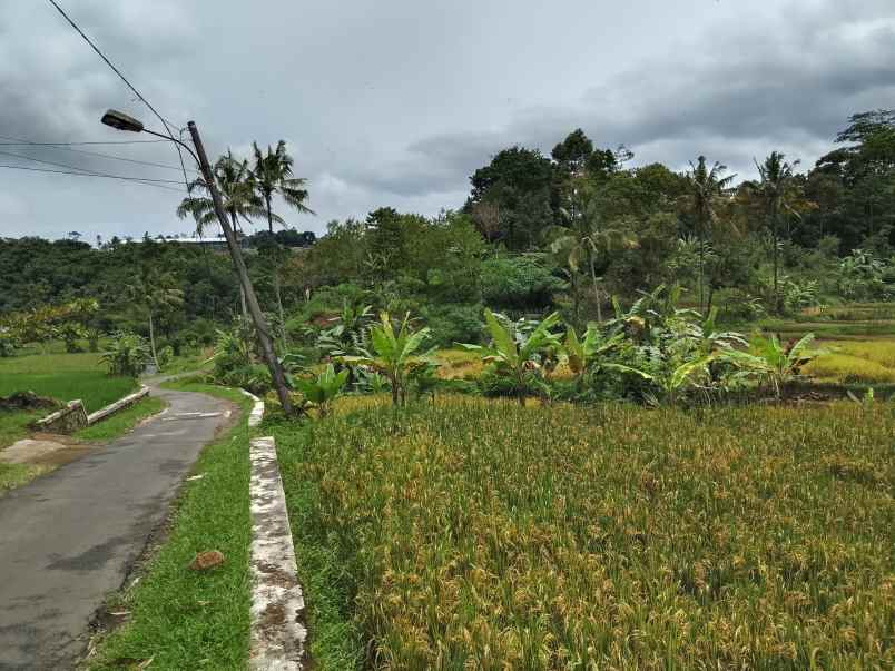 for sale tanah sawah dekat sungai jalan cagak subang