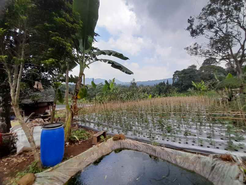 jual cepat tanah dekat kawasan wisata di ciater subang