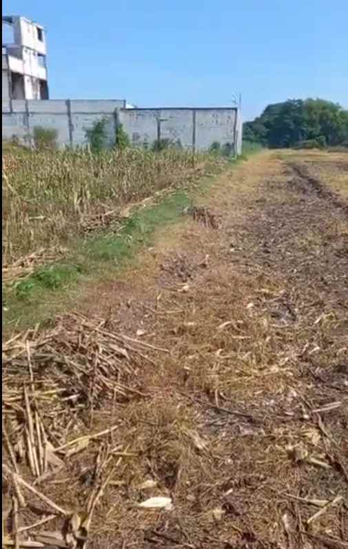 jual cepat tanah luas cocok untuk perumahan