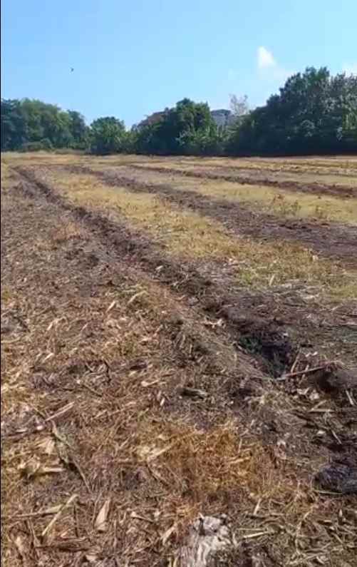 jual cepat tanah luas cocok untuk perumahan