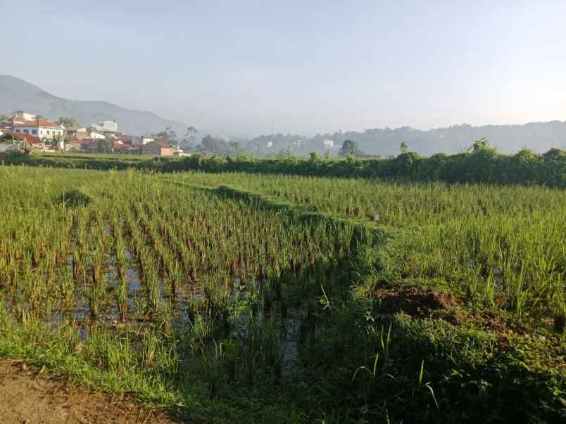 jual cepat tanah sawah cimanggung sumedang