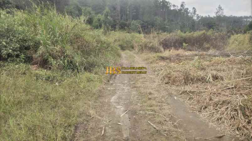 jual tanah kosong di desa ajinembah kec merek kab karo