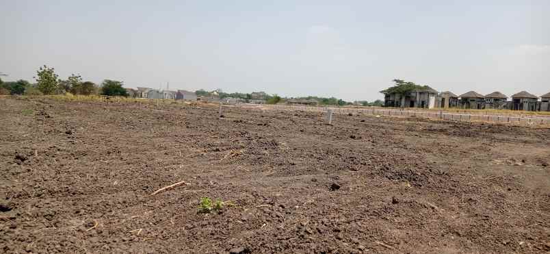 kavling laris manis tlogobeda menganti