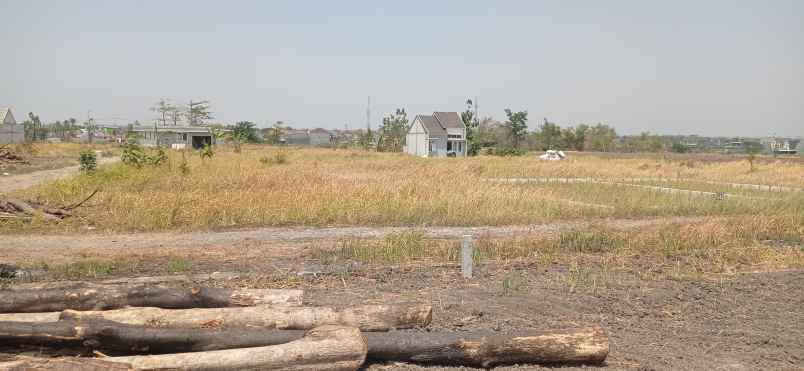 kavling laris manis tlogobeda menganti