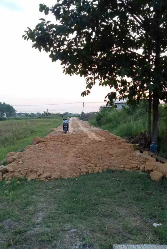 kavling murah kedamean harga mulai 27 juta