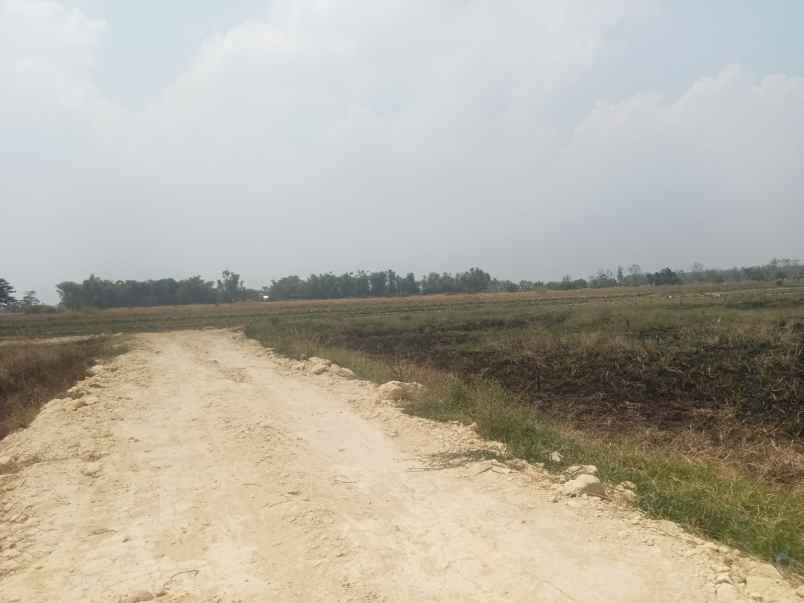 kavling murah kedamean harga mulai 27 juta