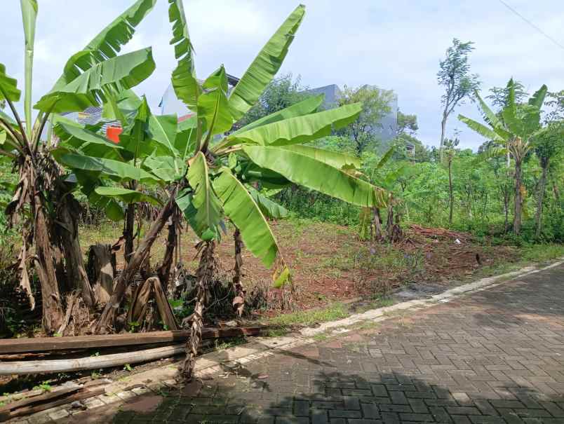 kavling siap bangun bulusan selatan tembalang