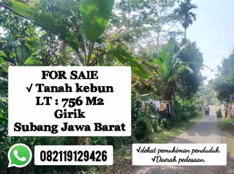 kebun produktif subang jawa barat