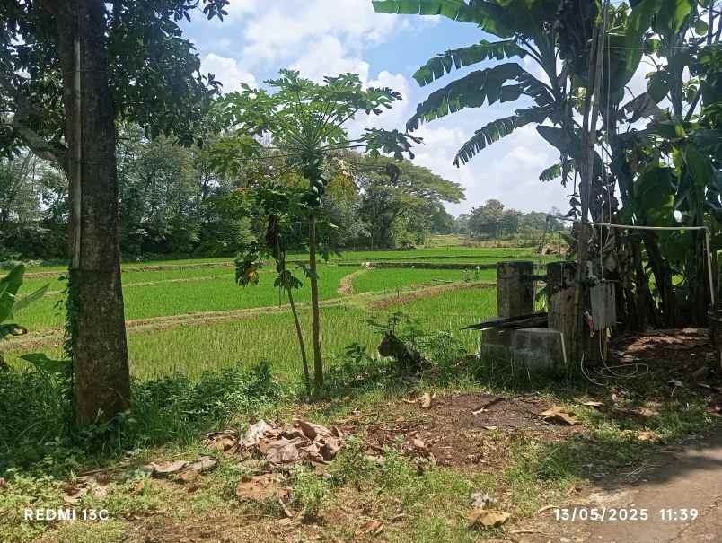 lahan 3ha pemukiman karanganyar kota 450rb m2