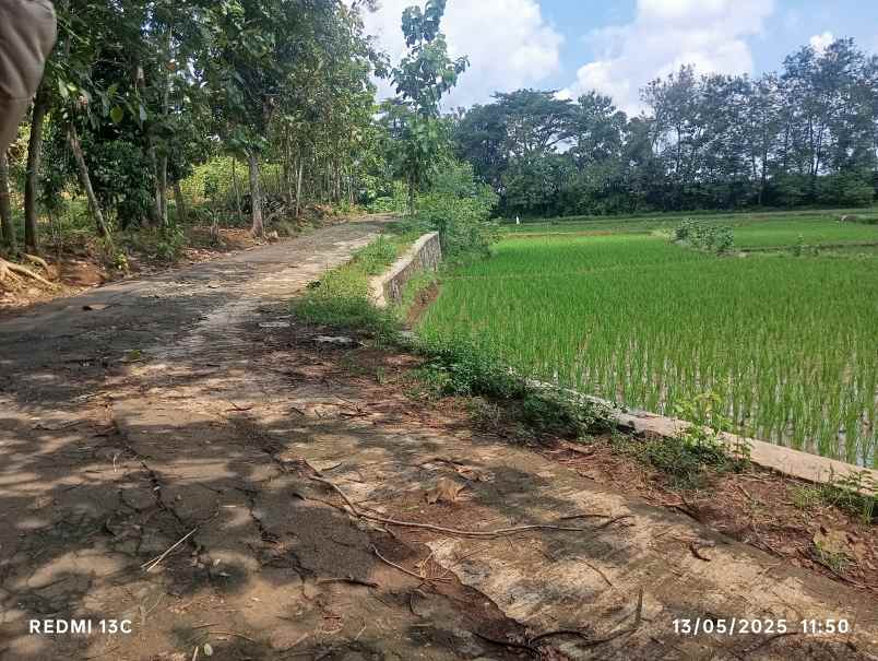 lahan 3ha pemukiman karanganyar kota 450rb m2