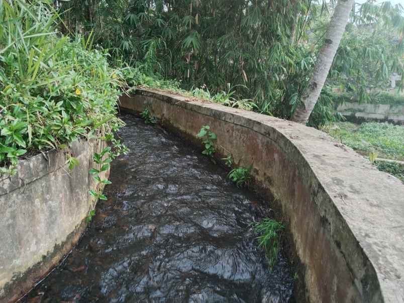 lahan mata air sagalaherang subang jawa barat