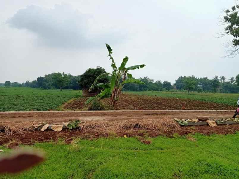 lahan produktiv pinggir jln desa