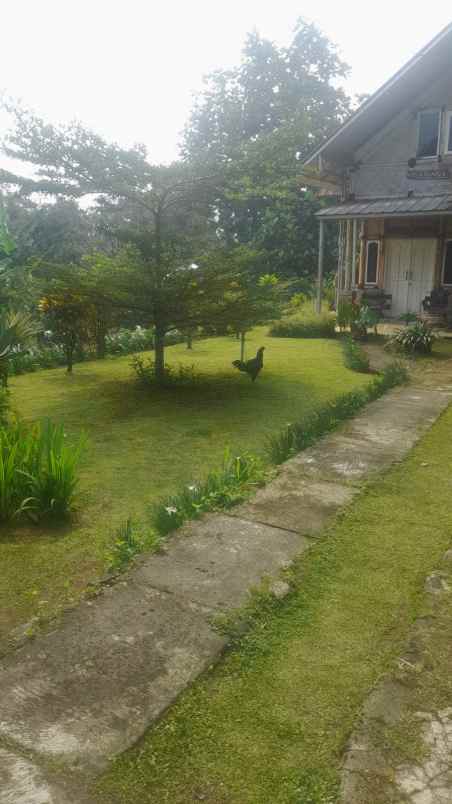 lokasi tanah samping jln umum