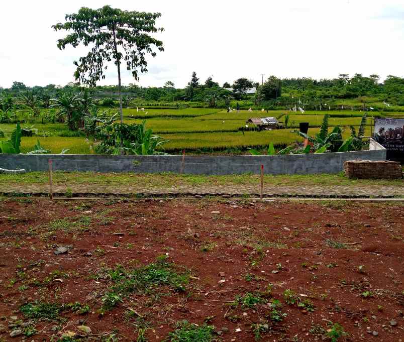 new abaya village hanya 10 juta all in