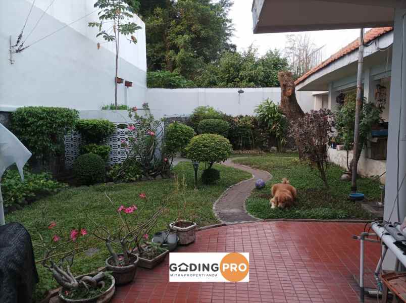 rumah classic lahan luas