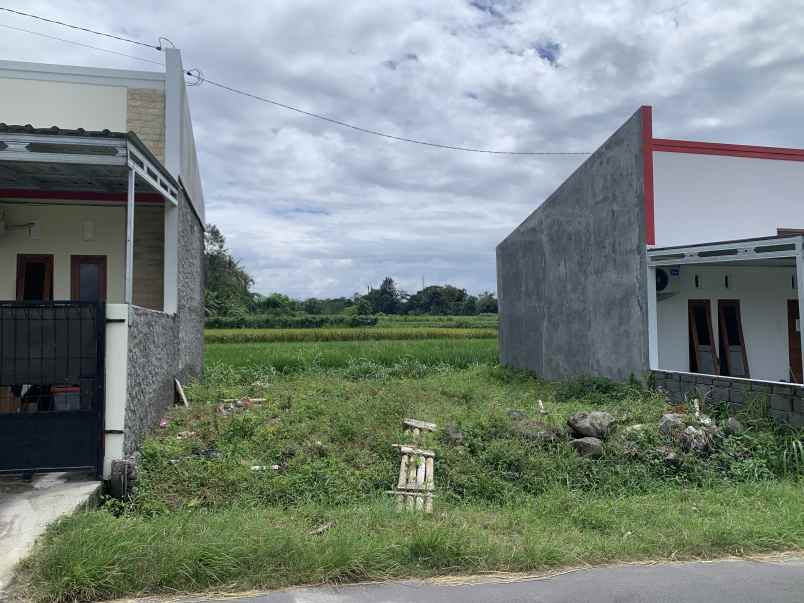 rumah minimalis tepi jalan aspal view sawah