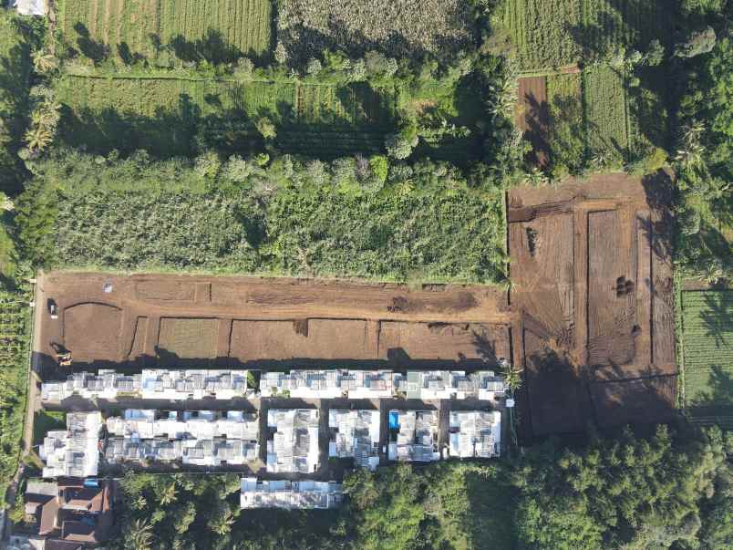 rumah ngamprong desa banjarejo