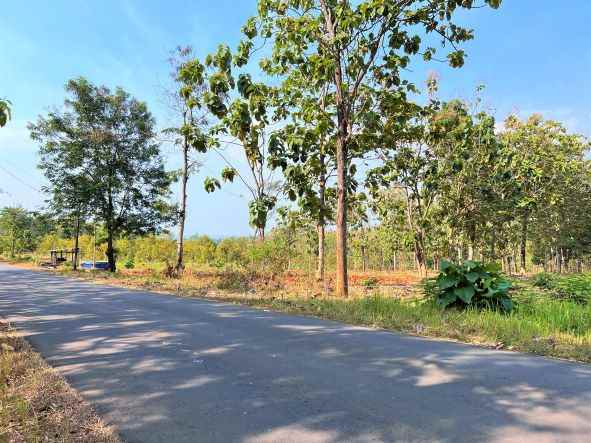 tanah 300m2 tepi jl raya kerjo karanganyar jawa tengah