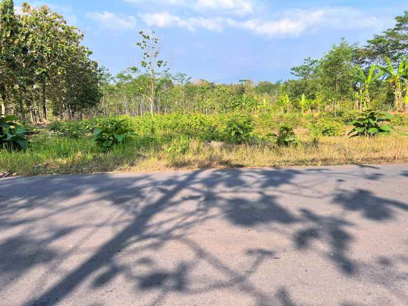 tanah 300m2 tepi jl raya kerjo karanganyar jawa tengah