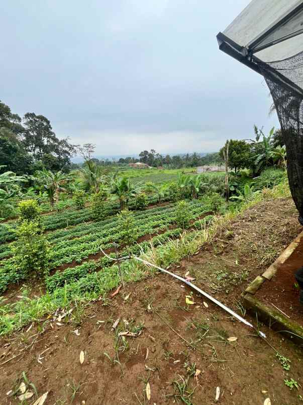 tanah bogor luas cocok untuk usaha