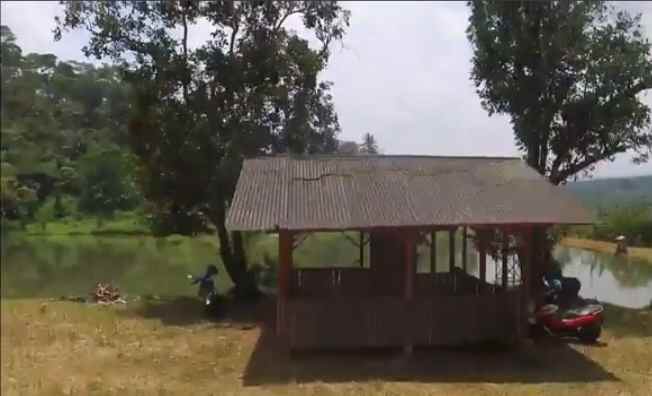 tanah dapat situ danau ada pohon buah nya subang