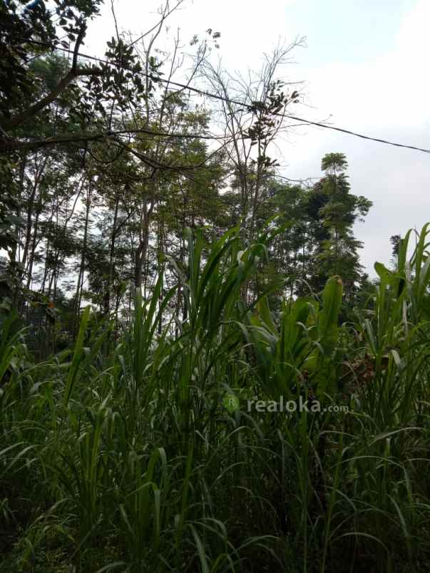 tanah dayurejo pandaan