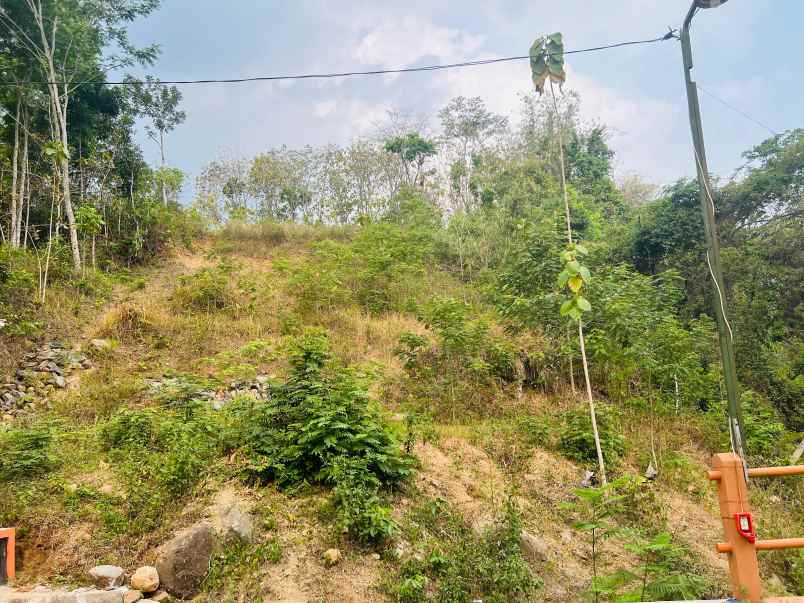 tanah investasi sambirejo sragen 1850m