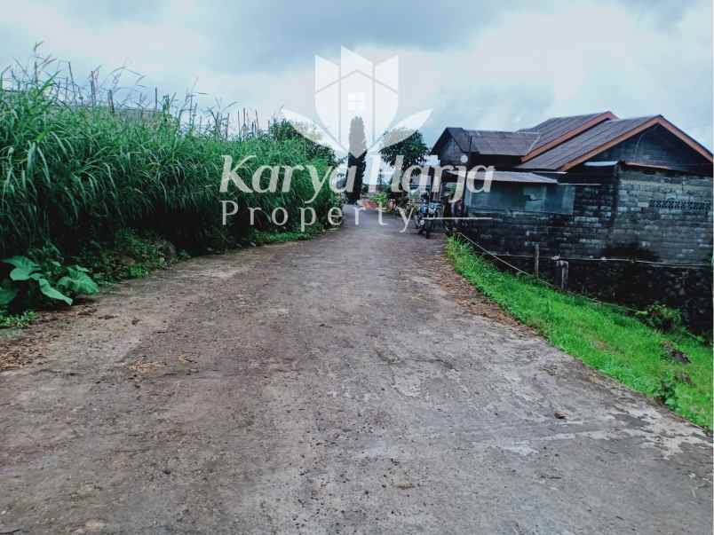 tanah istimewa kemuning ngargoyoso kra