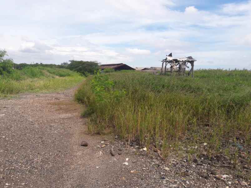 tanah jl cakung cilincing