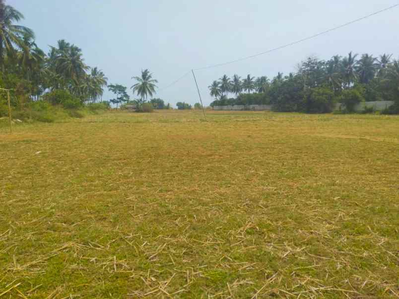 tanah jl raya labuan panimbang