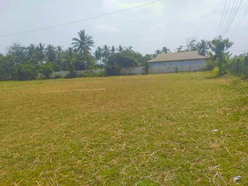 tanah jl raya labuan panimbang