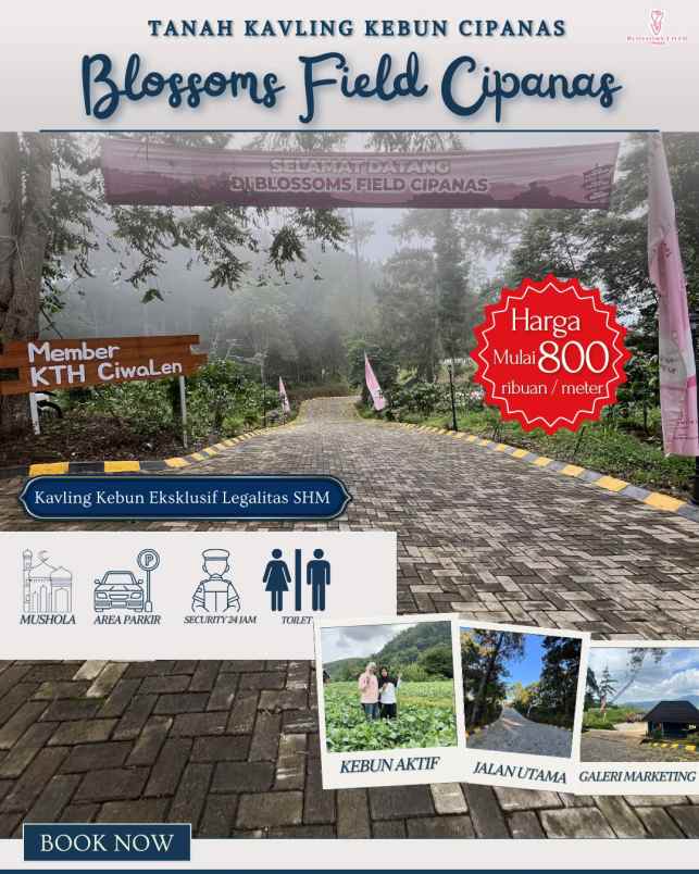 tanah kavling kebun di sukaresmi cianjur