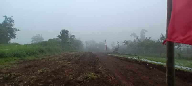 tanah kavling singosari pinggir jalan aspal