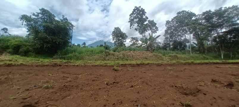 tanah kavling singosari pinggir jalan aspal