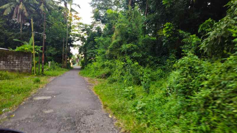 tanah kost jogja dekat dja va golf kaliurang km 13