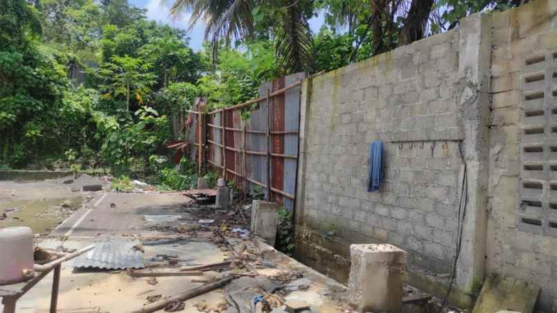 tanah murah luas tepi jalan cocok untuk pertanian