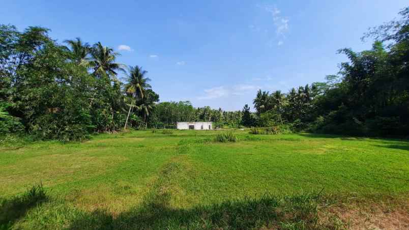 tanah naggulan kulonprogo dijual 80 jutaan